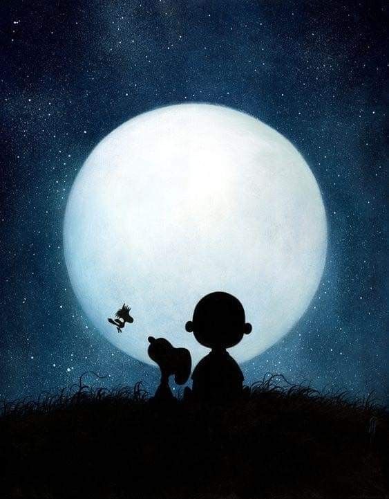 snoopyb047's tweet image. 