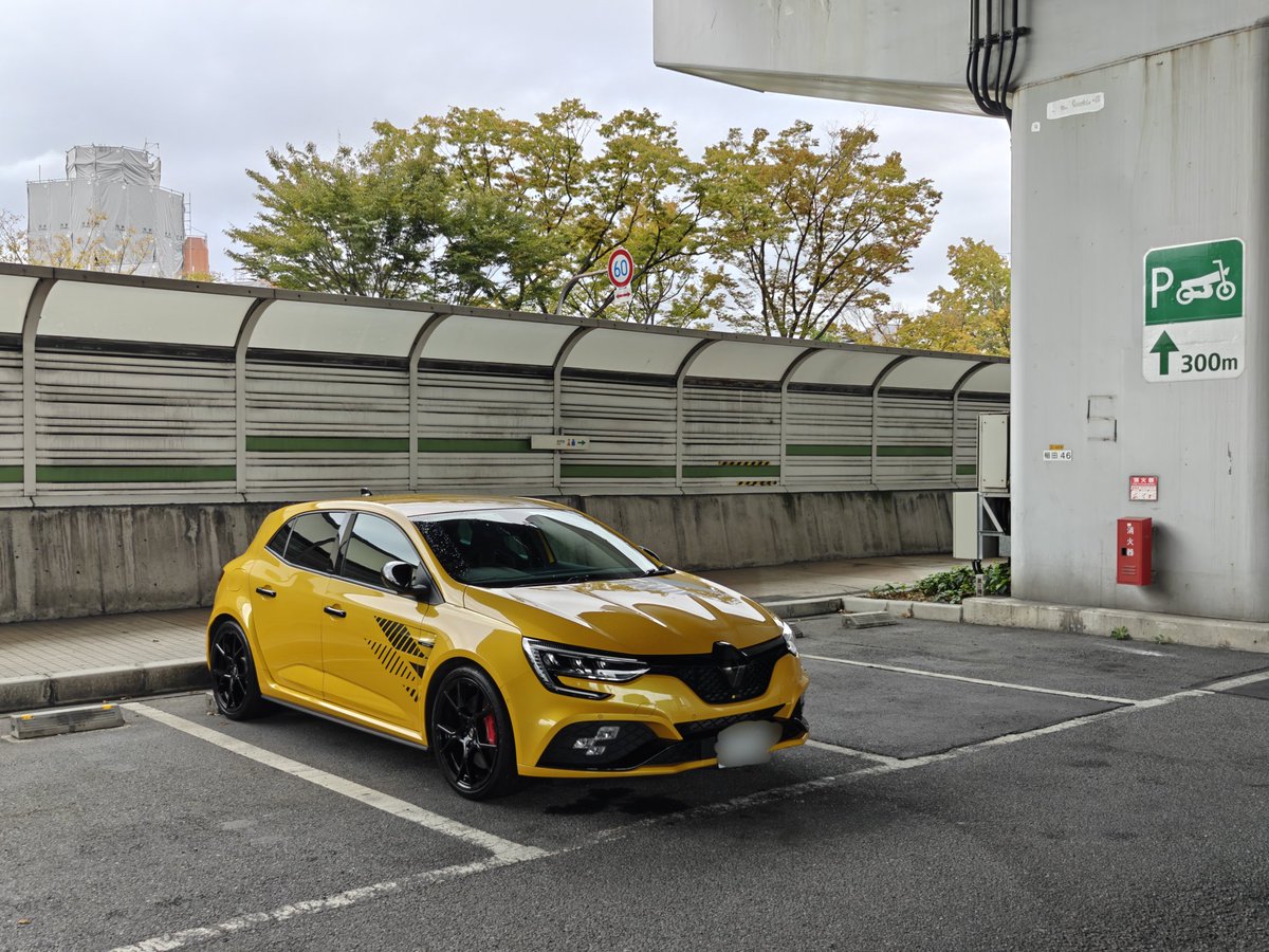 れんちょん💚♥🤍 tweet media