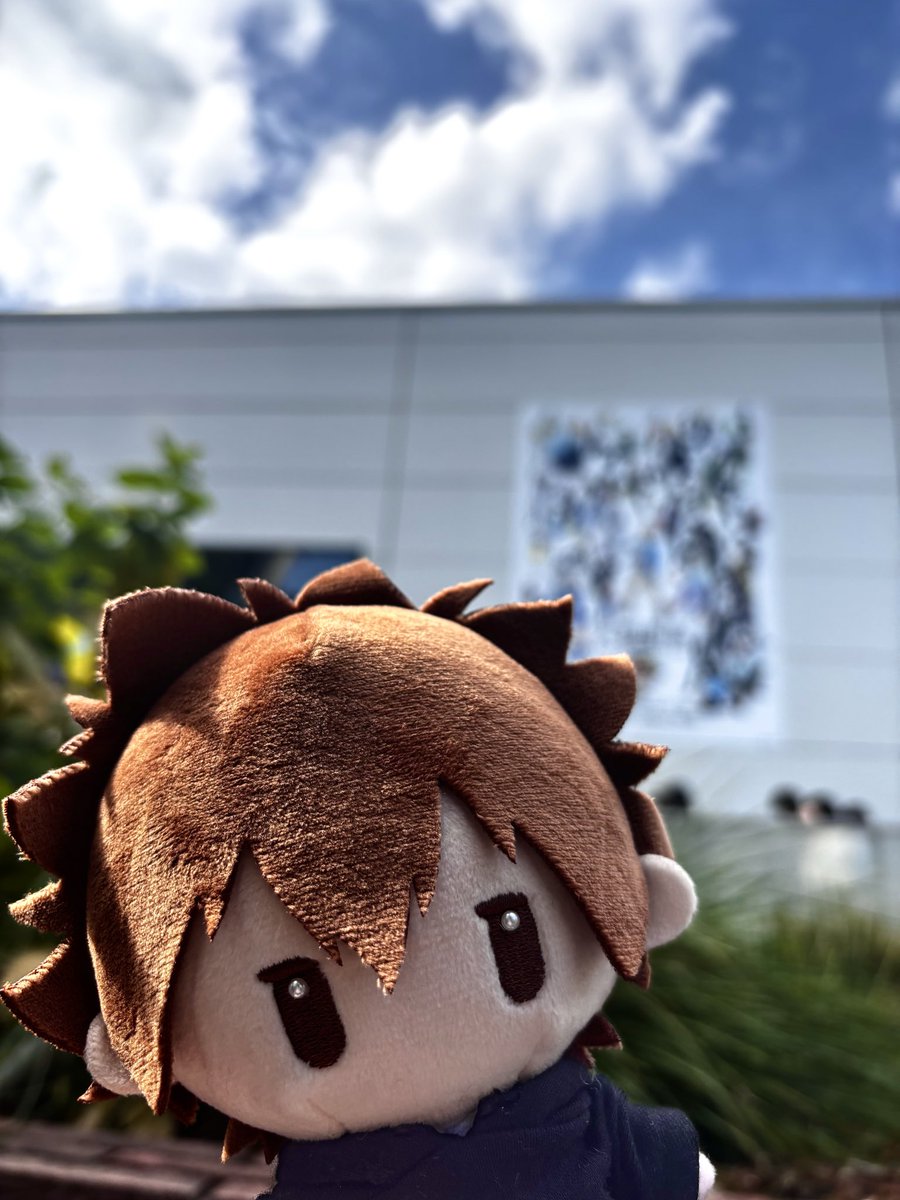 いいお天気です