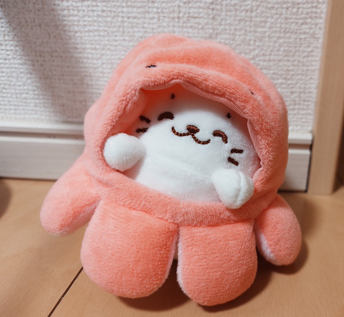 おばけだこ🐙
#しろたん　#sirotan