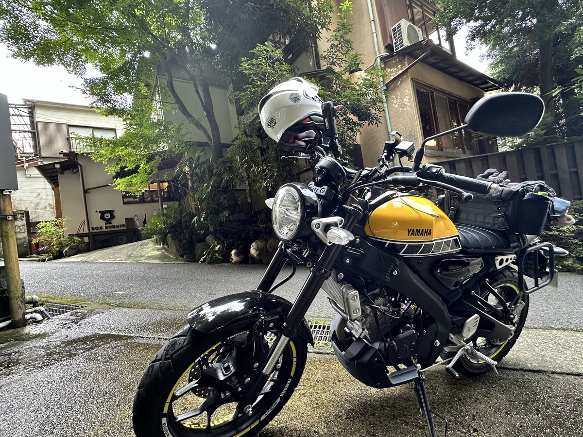 いぬちゃん いぬ🧌 (@inukichirider) / X