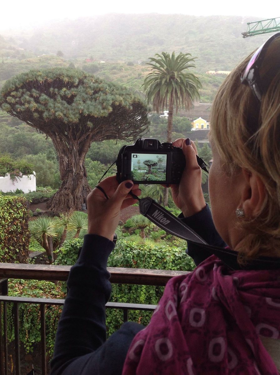 francofratelli's tweet photo. Tenerife brago millenario https://t.co/OAMDXkaDyv