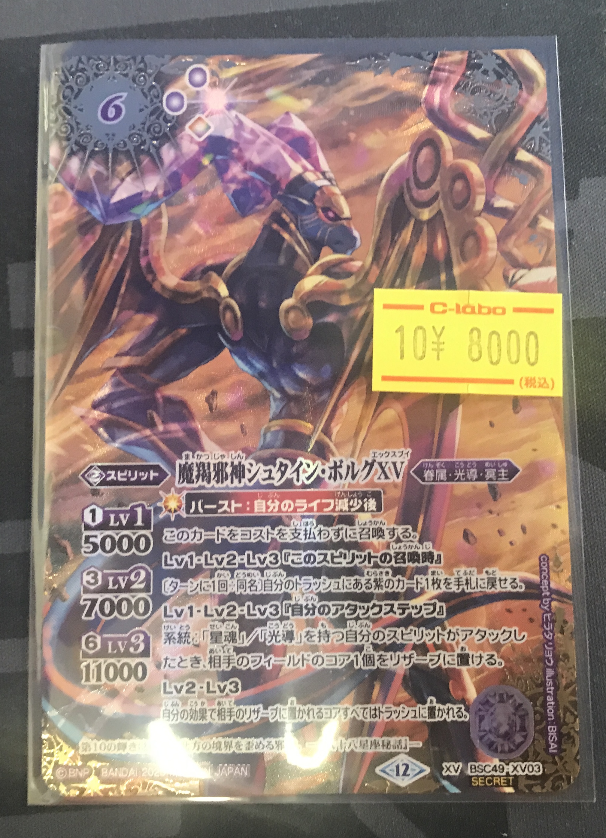 シュタインボルグXV シークレット 巡る星々 シュタイン・ボルグ