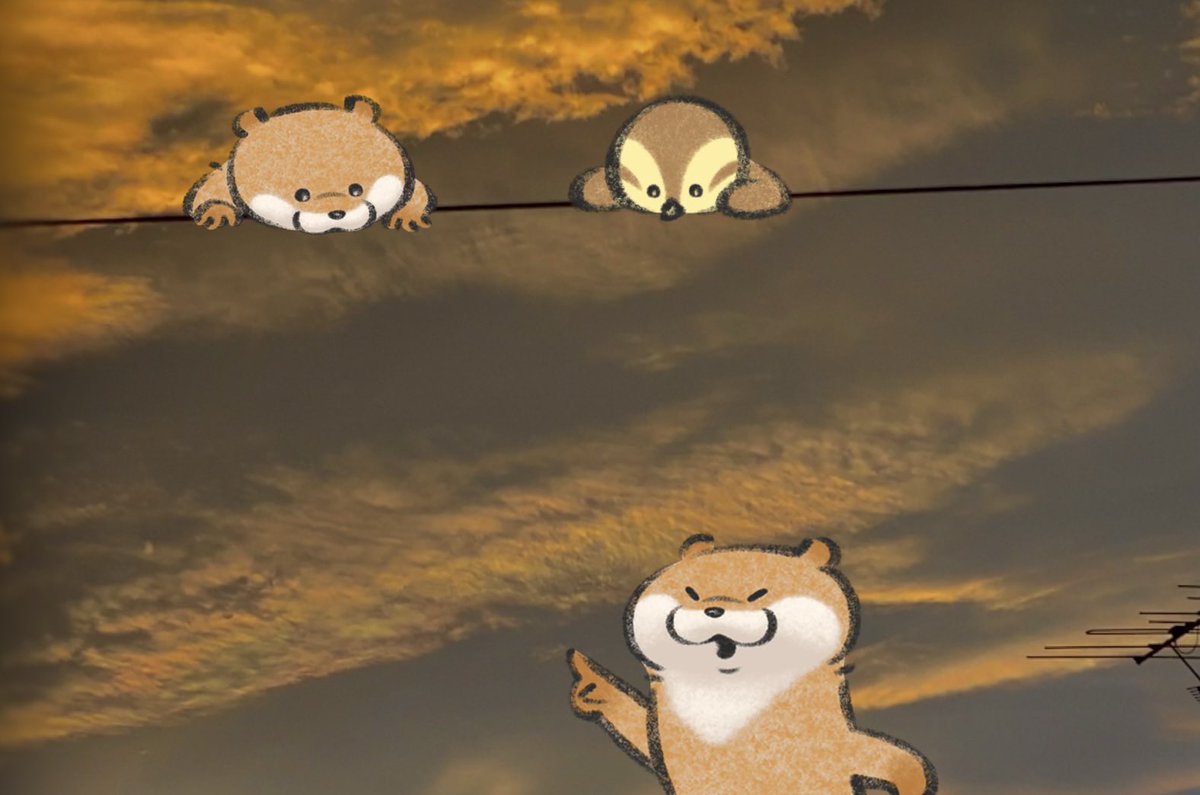 新人ハムスター (@quarter_666_) / Posts / X