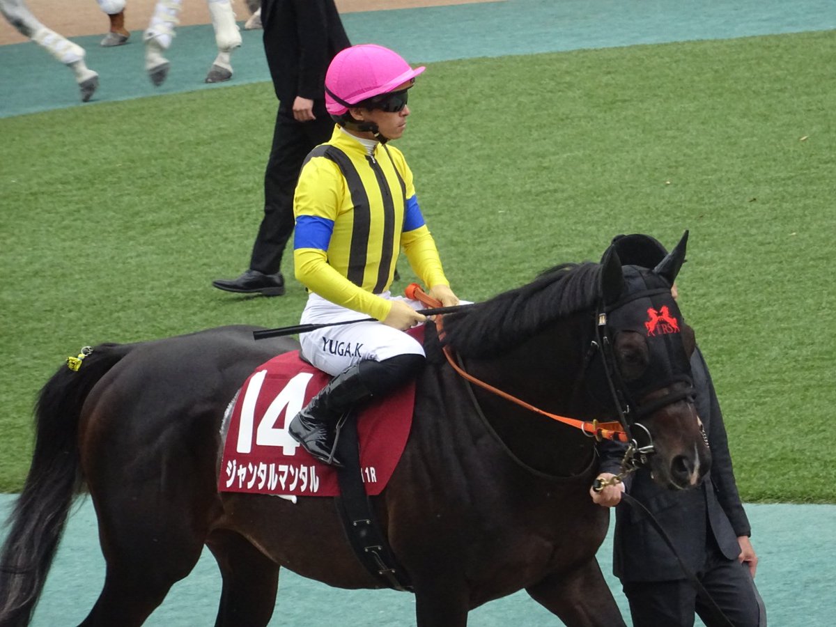 芦毛ちゃん@競馬垢 on X