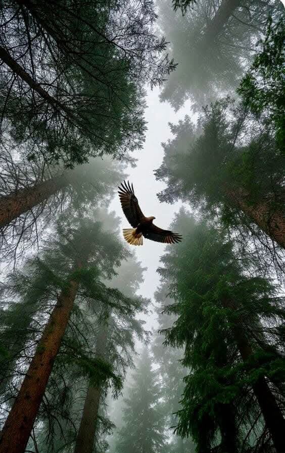 Alice Ivy (@aliceivy0003) on Twitter photo 