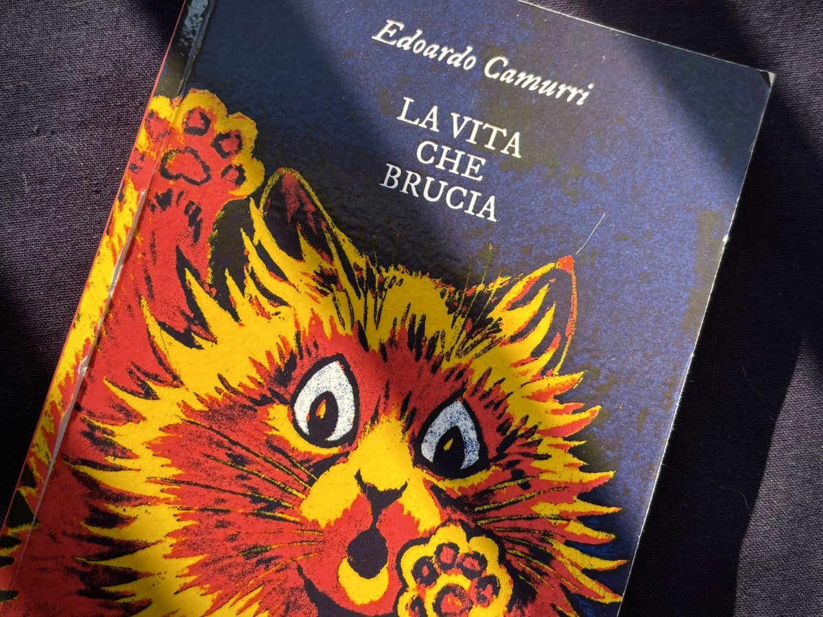 MrSouljacker's tweet photo. Amore di puro amore non sappiamo bene che cosa sia (@EdoardoCamurri) https://t.co/eQxhq9HpJO