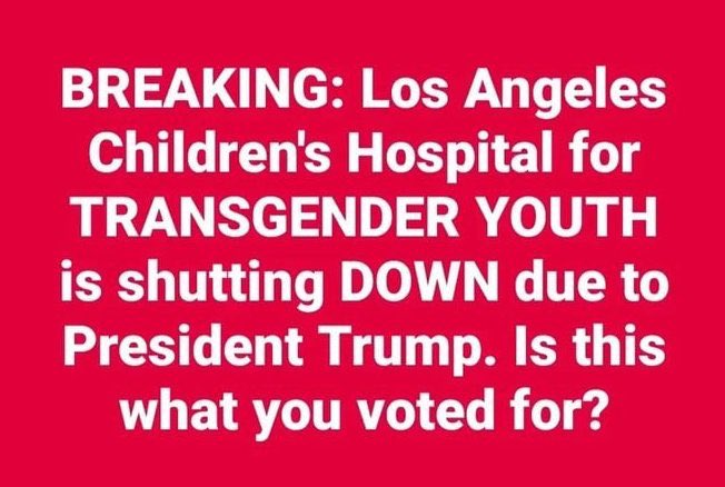 Ivanka Trump 🇺🇲 🦅 News (@ivankanews_) on Twitter photo Is this what you voted for?
A.  Yes
B.  No Is this what you voted for?
A.  Yes
B.  No
