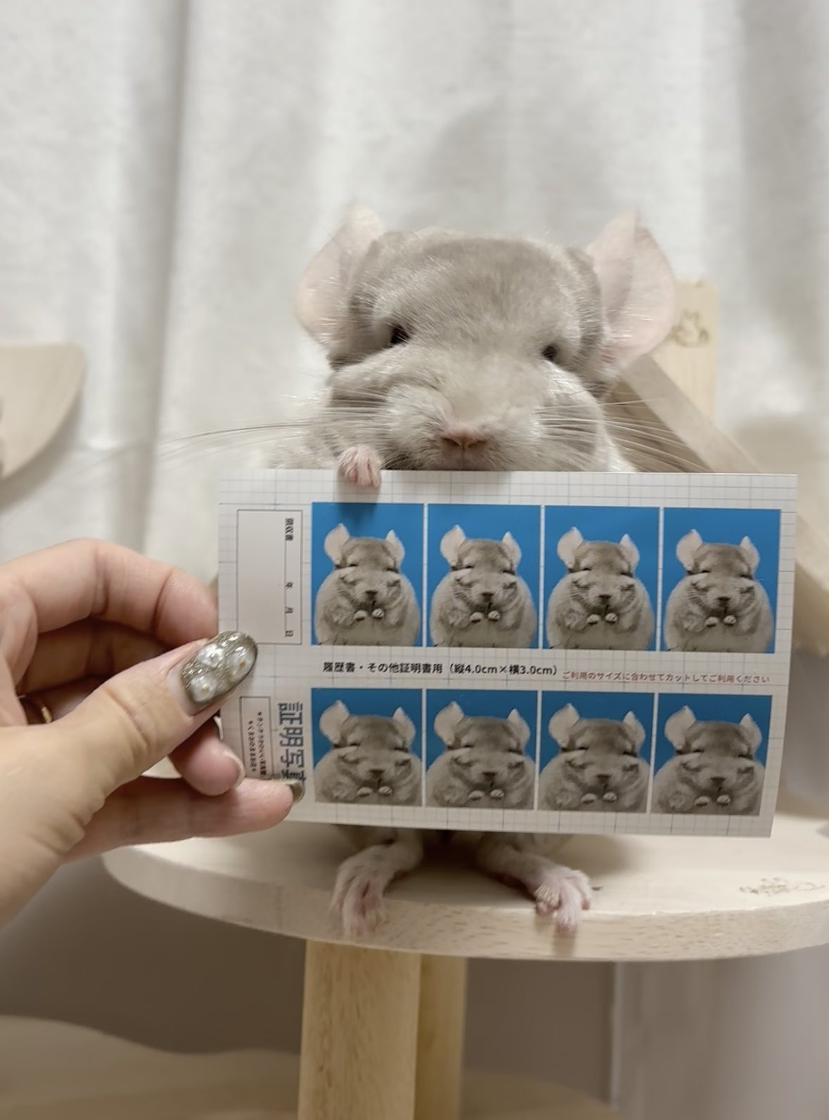 ＊くまこ様おまとめ＊ くまおのままお on X: 