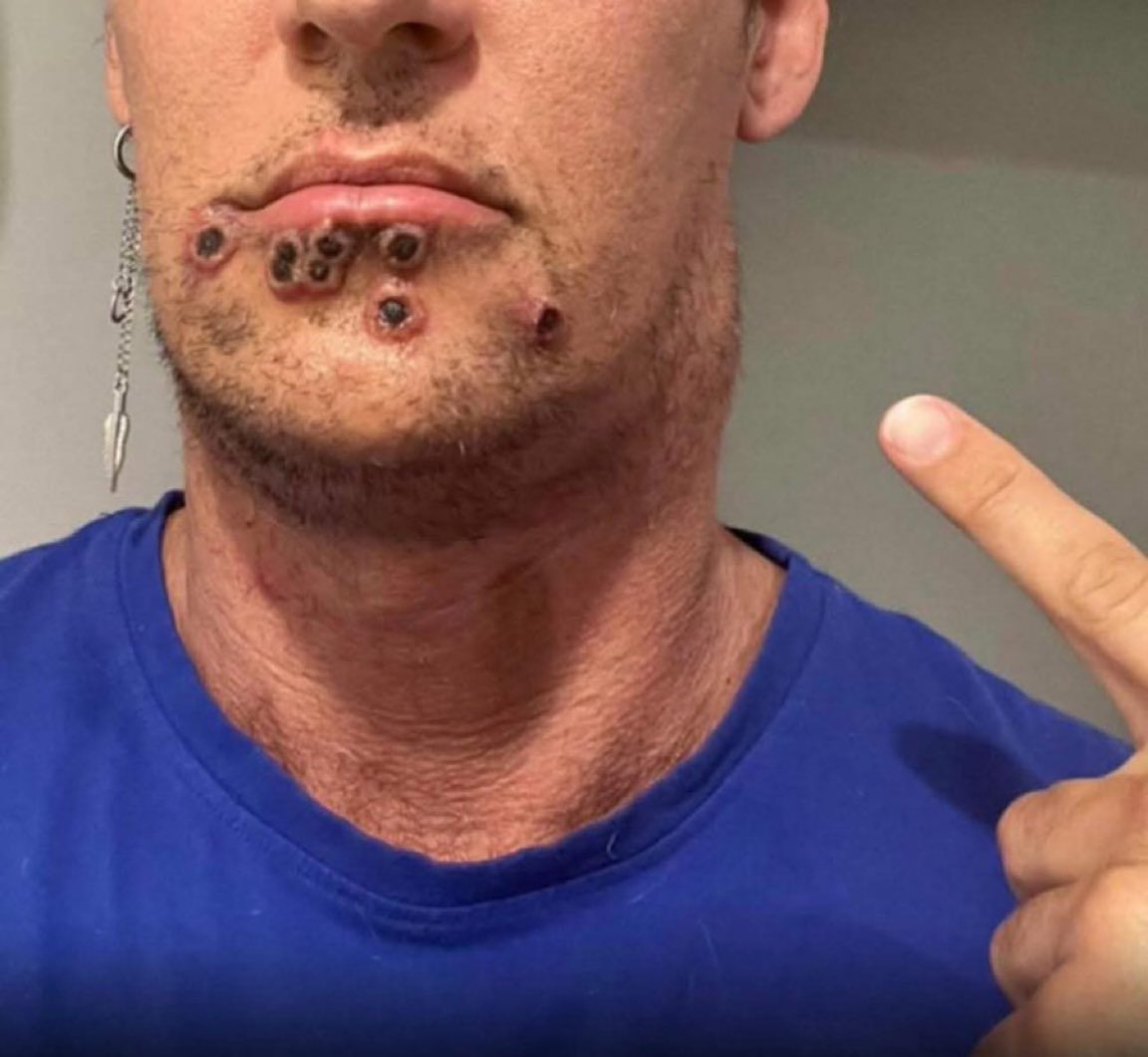 CAMILLE PAGLIA STAN ✨ FAN ACCOUNT tweet media