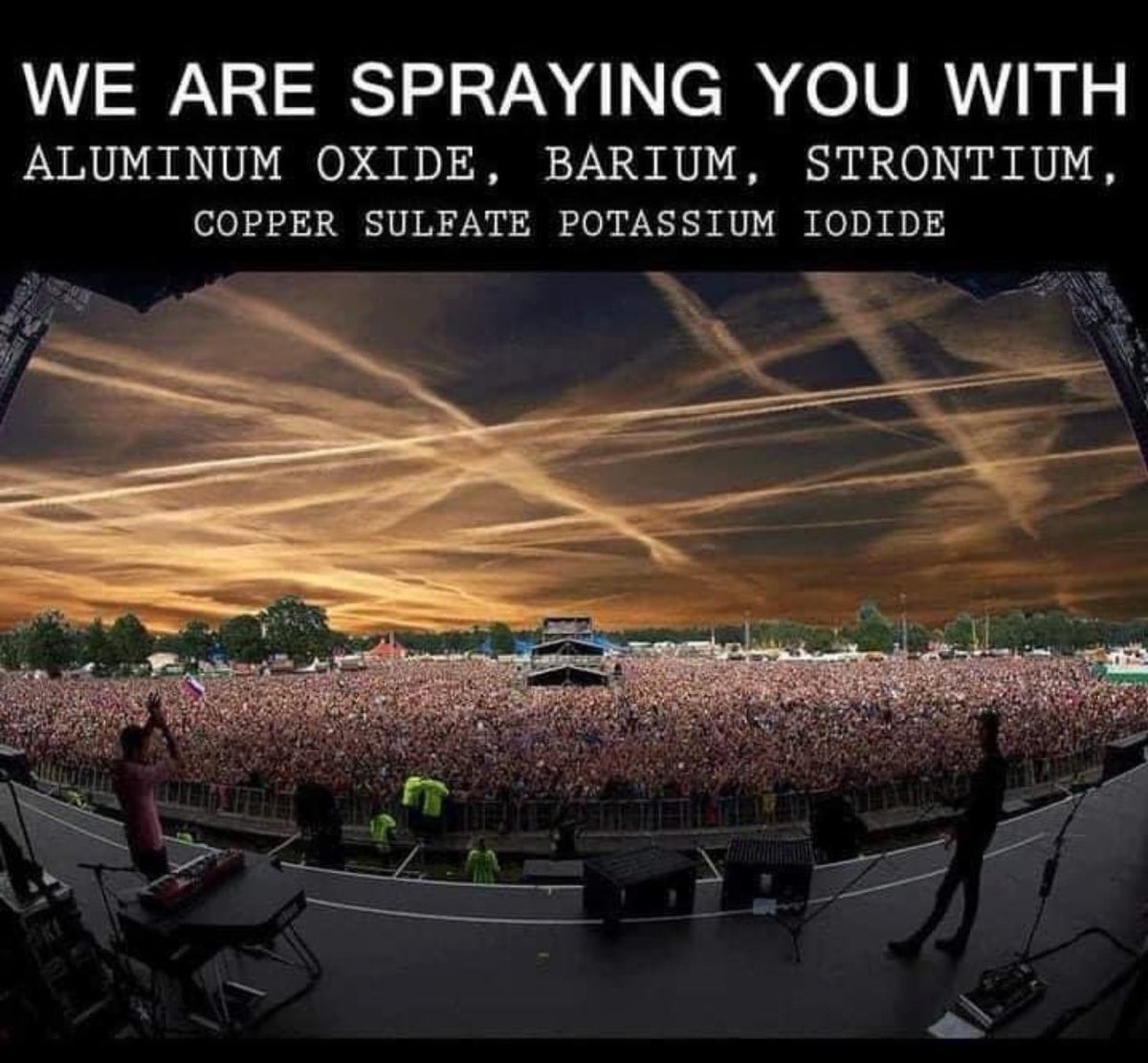 BGatesIsaPyscho's tweet image. Nobody consented to being sprayed like Bugs.