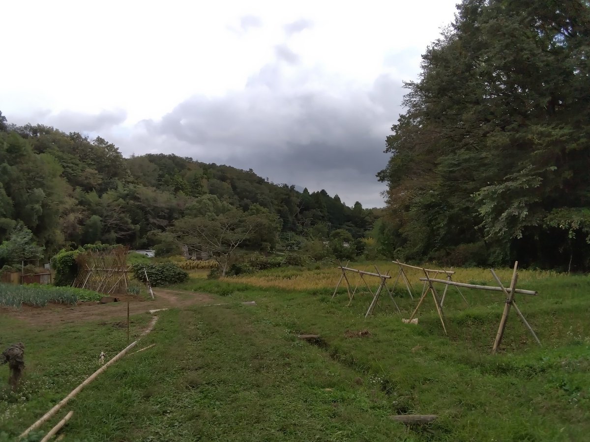 同じく田んぼの学校(八王子市堀之内)