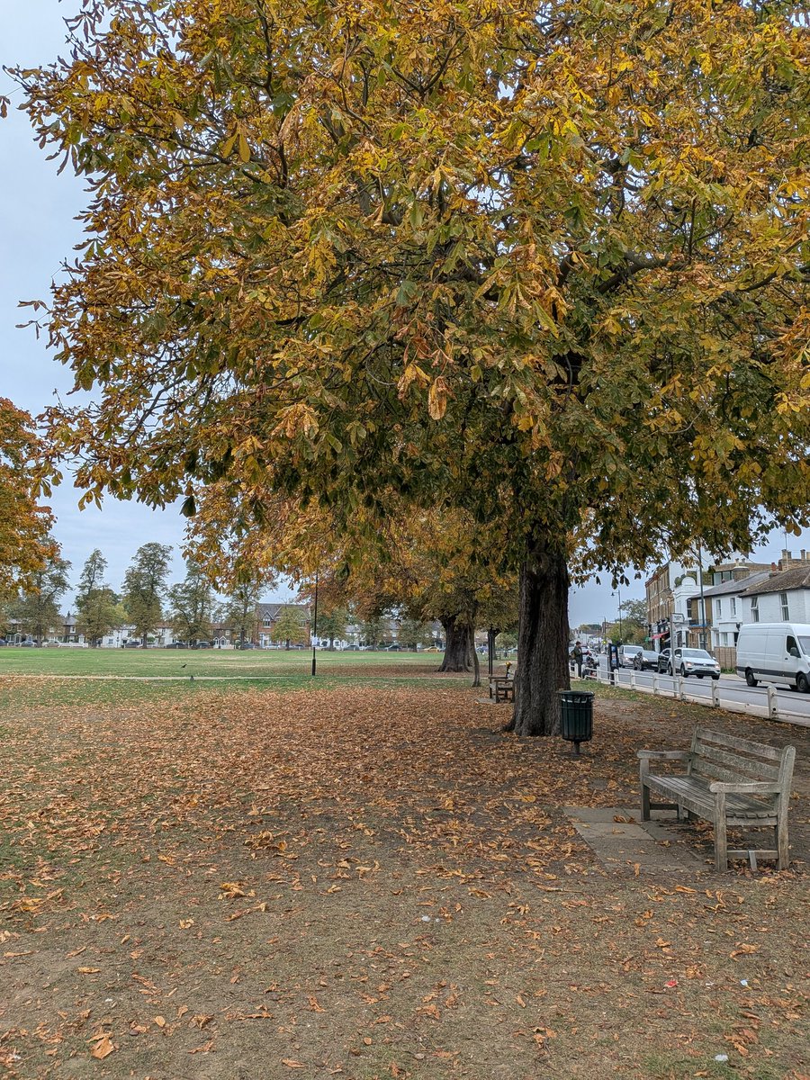 Hands down my favourite season. 
aaaannnd GMM Chat 
Been a min hope you are all well!