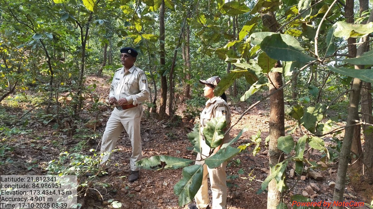 DfoBonai's tweet image. #Transact line preparation for upcoming #TigerCensus2025 training at #Singardei DPF under the guidance of ACF of Bonai🐾
#TigerEstimation #WildlifeMonitoring #BonaiForestDivision #ConservationInAction
@pccfodisha 
@Prem_CWLWOdisha 
@RourkelaRc79045