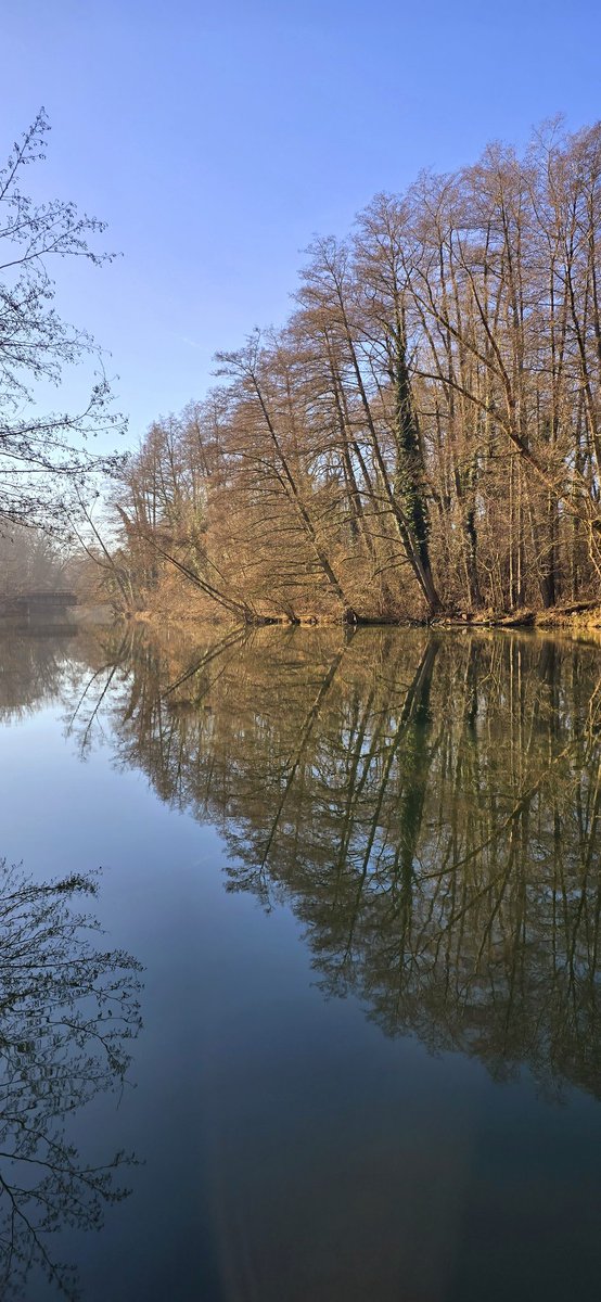 Post a picture YOU took...