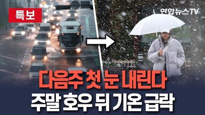첫눈이요...?