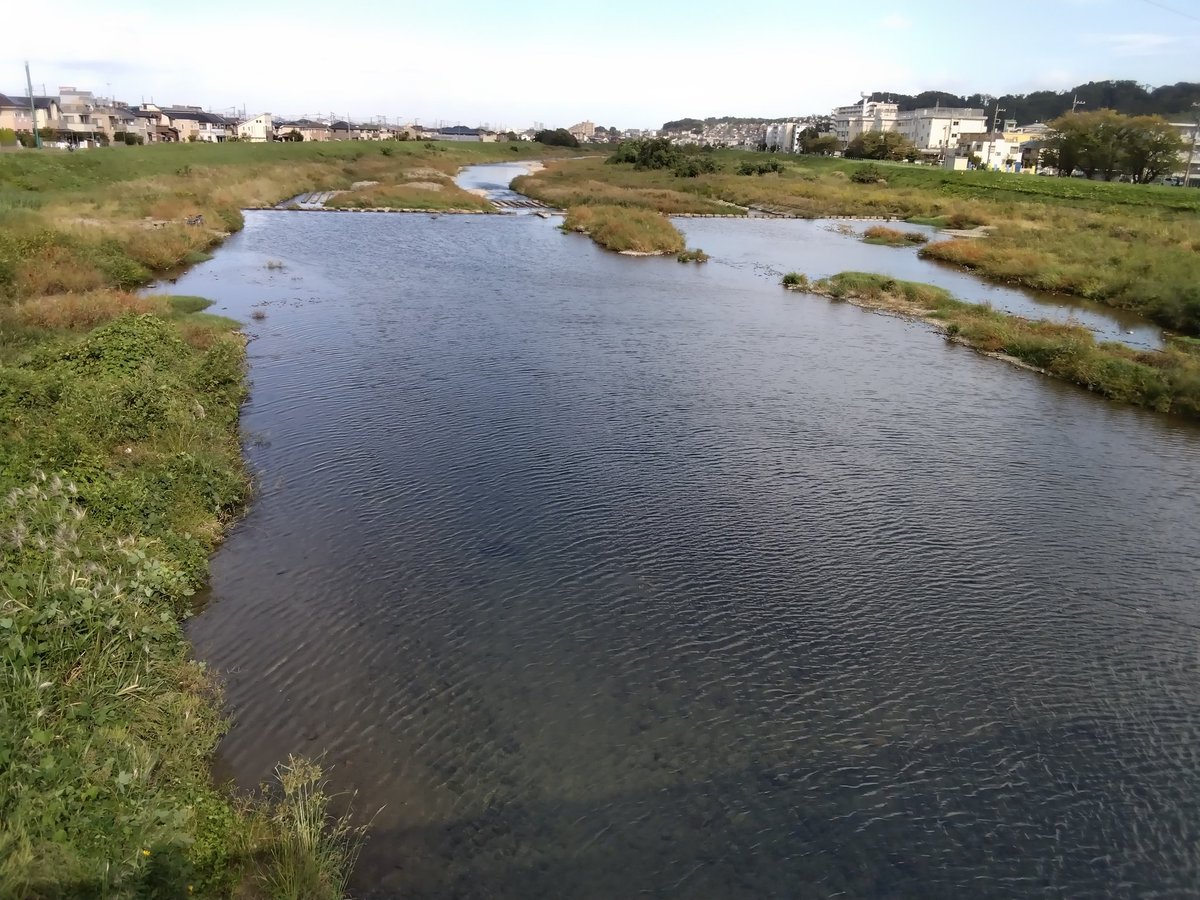 東京都日野市　豊田駅から平山城址公園駅に行く途中に流れる浅川　この先で多摩川と合流