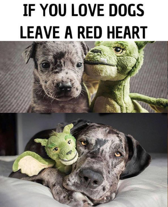 Beyond The Leash tweet media