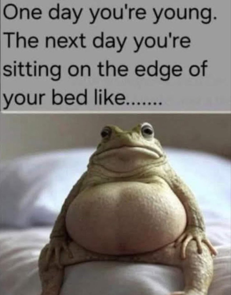 Filbell2's tweet image. 