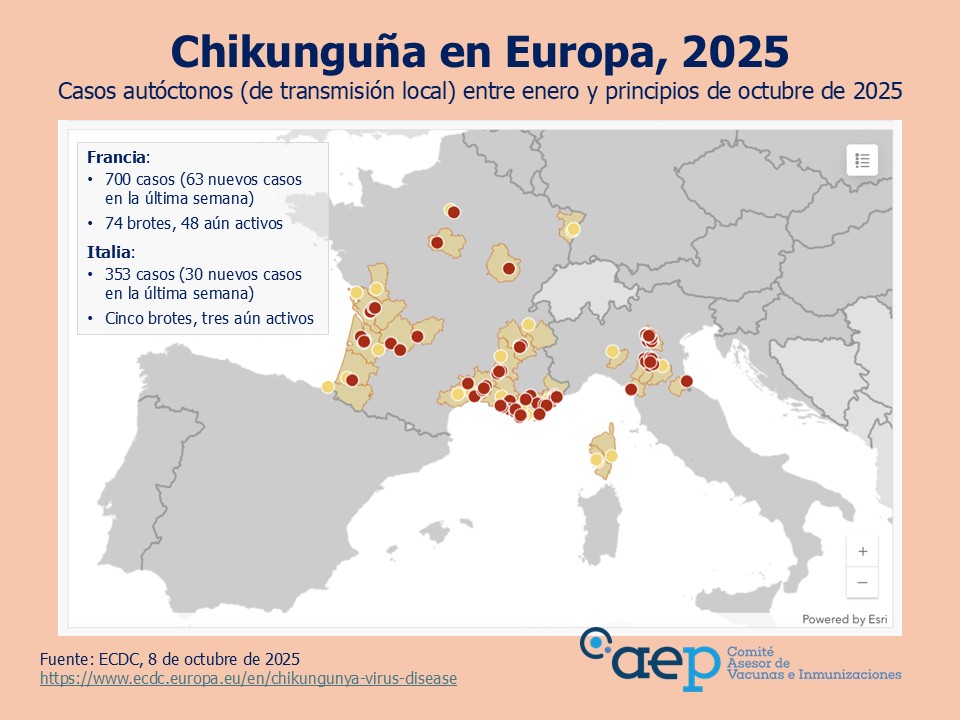 Enfermedad por el virus chikunguña: una "nueva normalidad". El chikunguña no es endémico en Europa hasta ahora, pero en lo que va de año se han registrado ya más de mil casos de transmisión autóctona en Francia e Italia. En España se han detectado 54 casos
vacunasaep.org/profesionales/…
