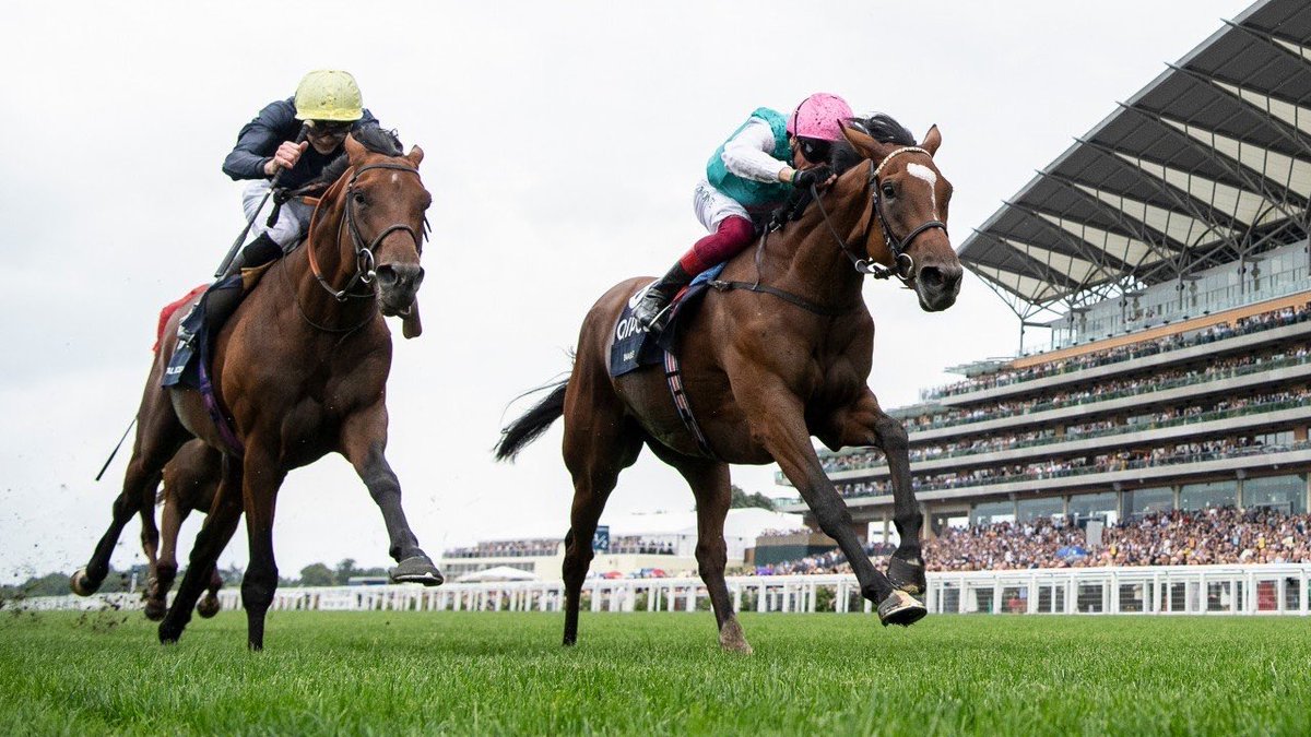 Here are the horses I’ve backed at Ascot today 🏇

Good luck all! 🤞🏻

Montassib (2.05) @ 7/1
Fallen Angel (3.25) @ 8/1
Ombudsman (4.05) @ 15/8

#EnigmaHN