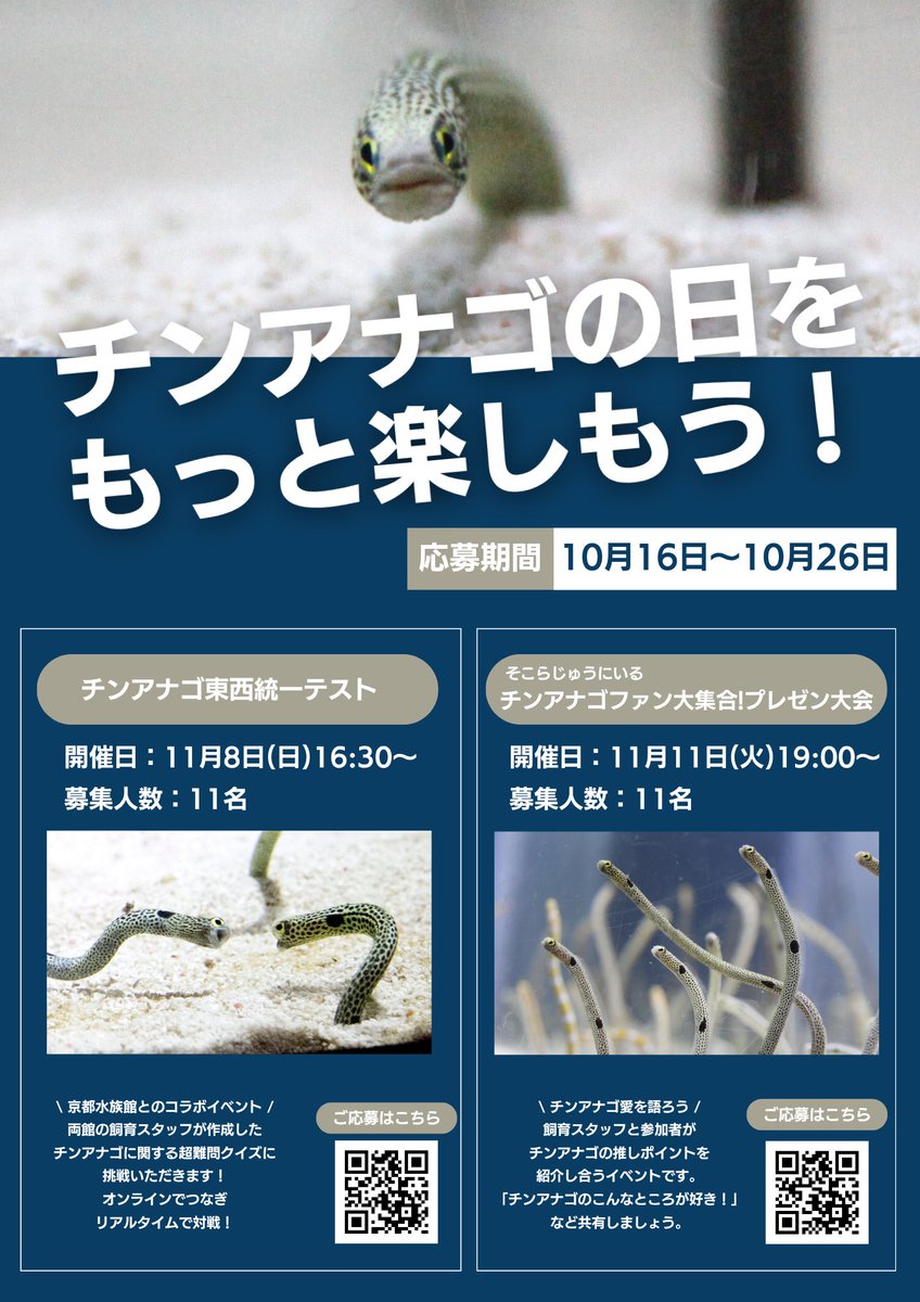 油絵　けい　チンアナゴの間を泳ぐ仲良し魚 油絵 けい チンアナゴの間を泳ぐ仲良し魚 油絵 けい チンアナゴの間を泳ぐ