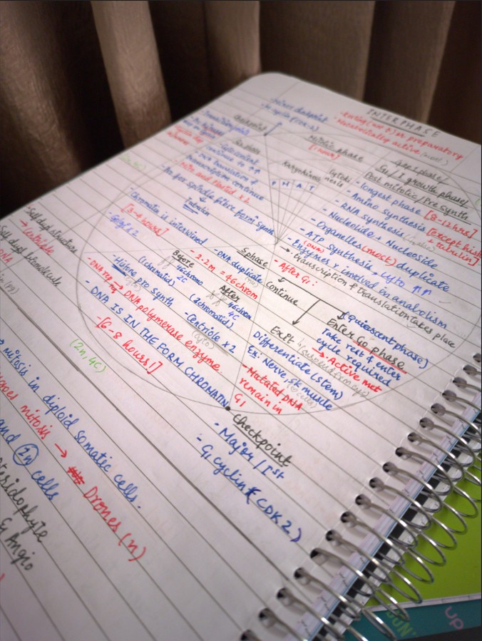 Butterfly194056's tweet image. something’s in the works 🌿
made with love, caffeine, and too many pens.
#MedScribe #ComingSoon #aestheticnotes #neet2026 #neet2027