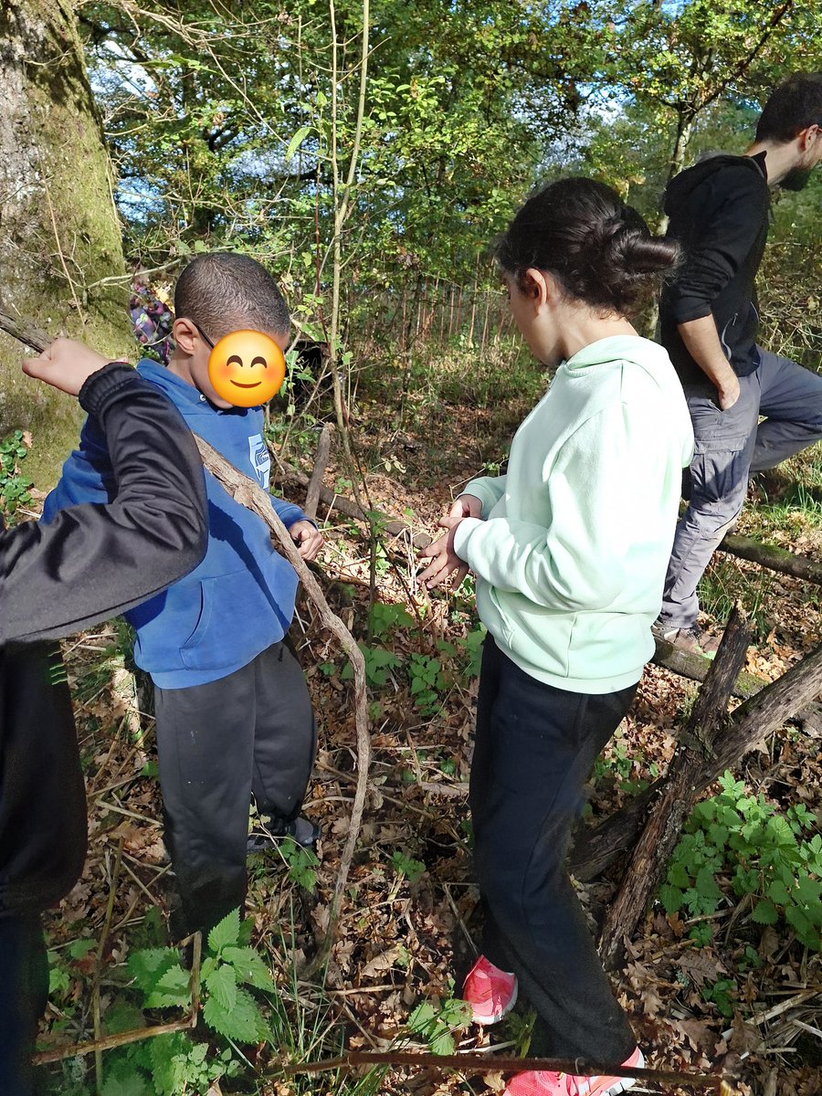 Cette année, 1ère sortie sur notre ATE. Objectif: examiner la forêt pour évaluer si elle est propice à la présence de chauves-souris. Présence de bois morts, de gros bois vivants, de micro-habitats, de milieux aquatiques.