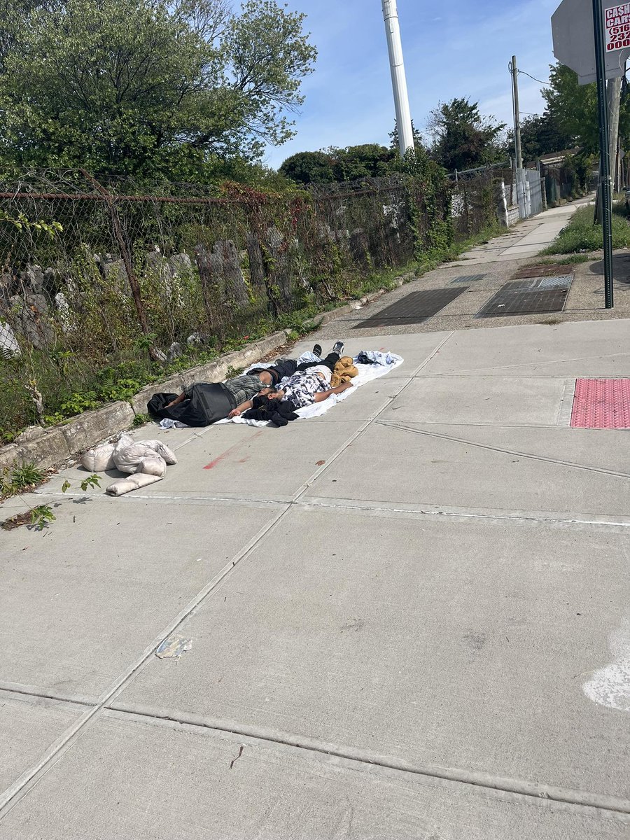 Crime_In_NYC's tweet image. Seen in Ozone Park, Queens.