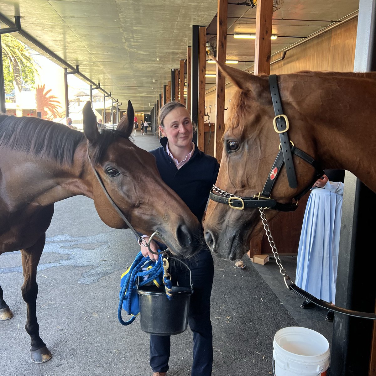 colemanemma1's tweet image. VAUBAN was happy to see his old travel partner ABSURDE this afternoon at Caulfield ☘️❤️ @WillieMullinsNH @GaiWaterhouse1