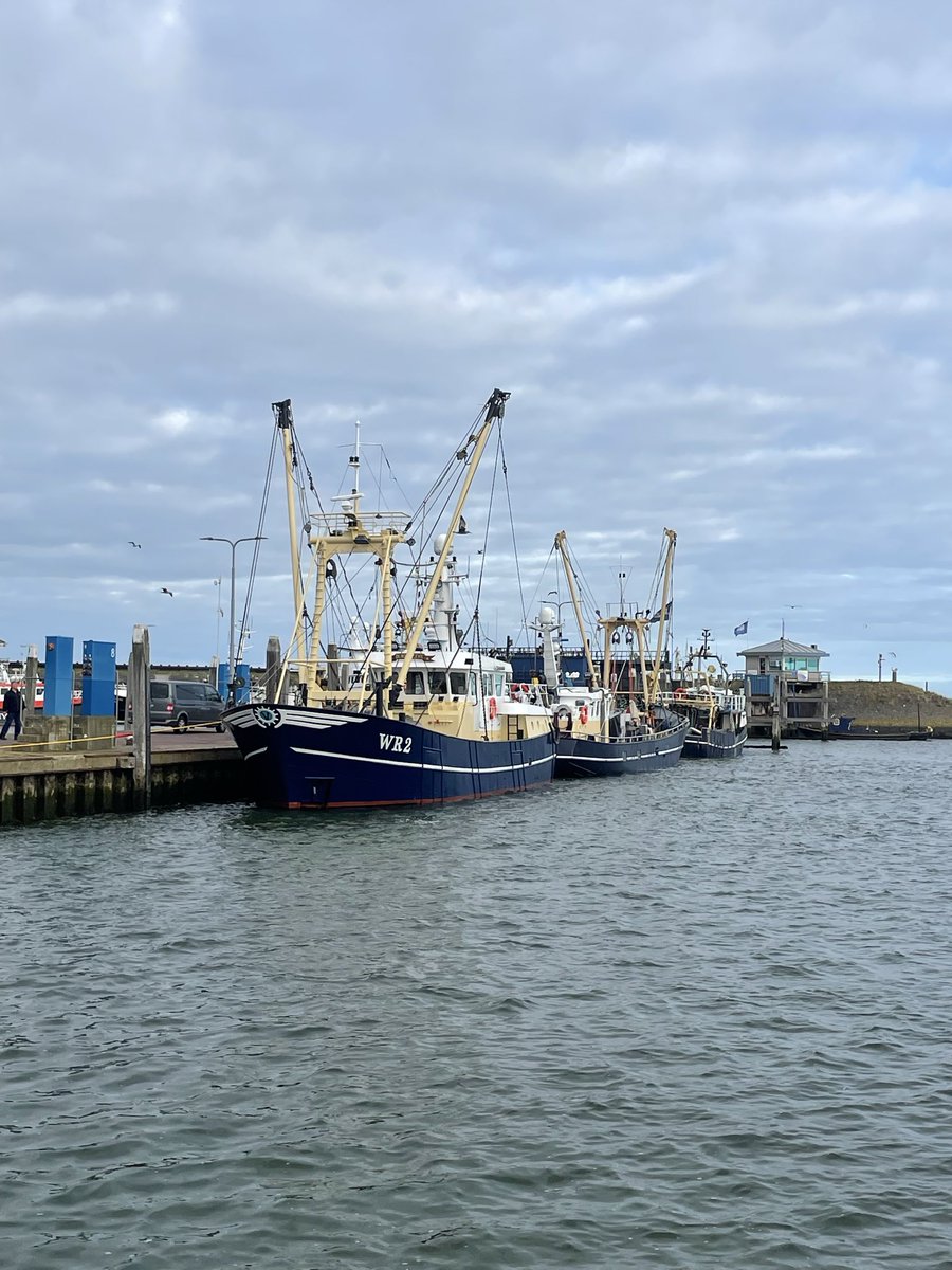 Vandaag sluiten <a href="/netviswerk/">netVISwerk</a> en #BlueFood in Den Oever een samenwerkingsovereenkomst. Verse vis van dichtbij en gevangen naar draagkracht van het water! <a href="/netviswerk/">netVISwerk</a> werkt!