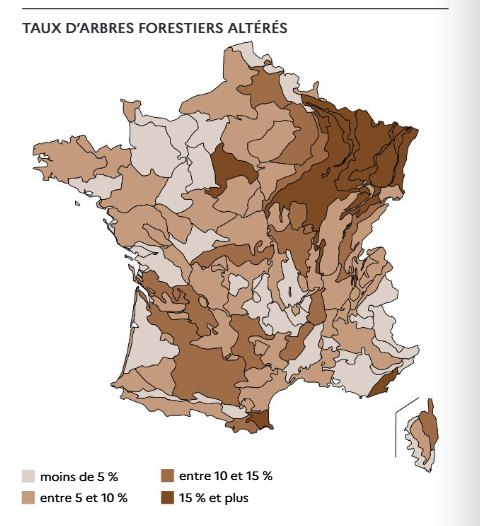 J’attendais le jour où une première grande étude basculerait la ligne rouge : et c’est aujourd’hui. Elle démontre que le changement climatique commence désormais à faire dépérir nos forêts plus vite qu’elles ne se régénèrent. En Australie, leur bilan carbone devient négatif :