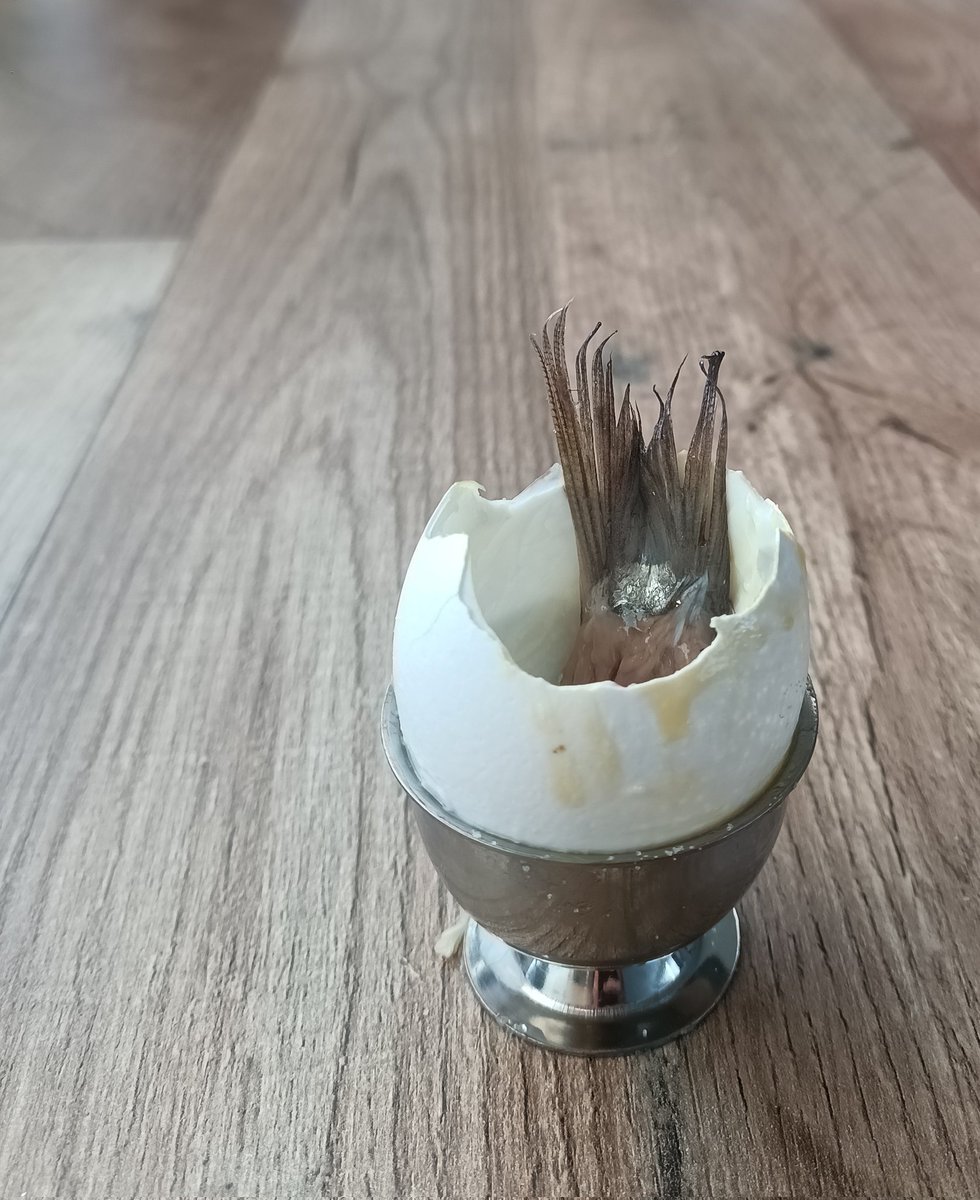 Herzliche Grüße! 🙏