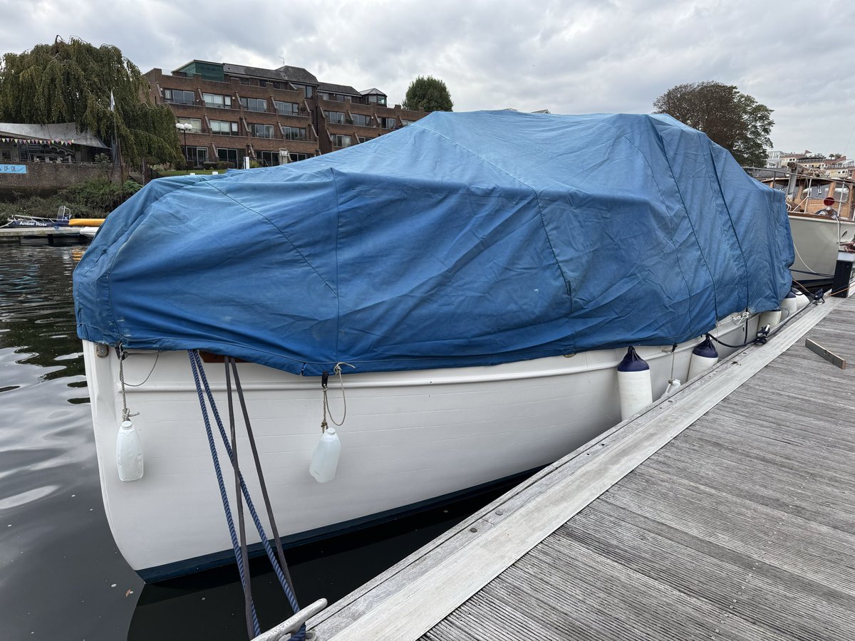 Papillon tweet media