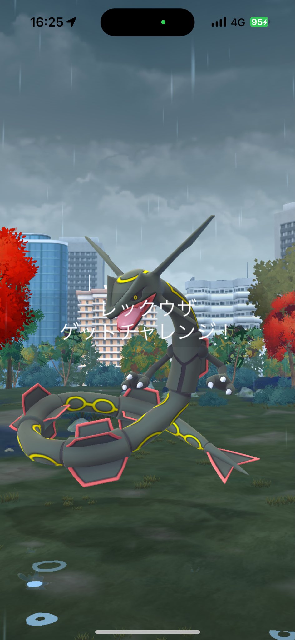 りんこ🍏 ポケモンGO on X: 