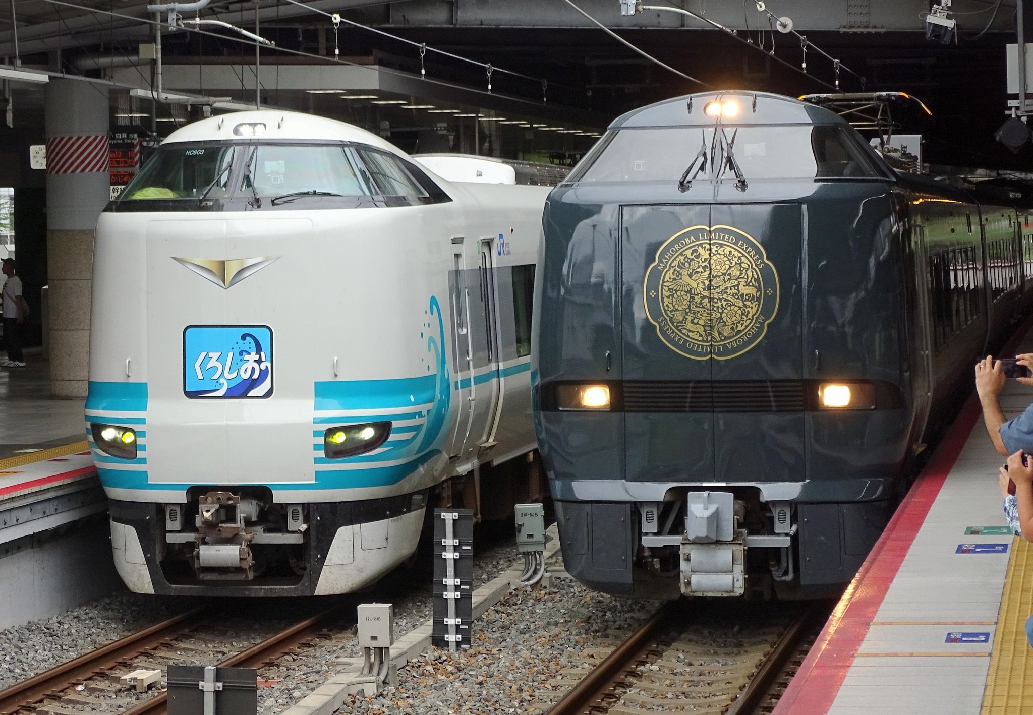 虎鉄(こてつ) (@hayate_7nm) / X