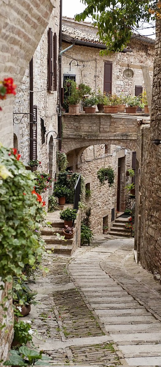 Takeapic9's tweet image. Olden alley 📸