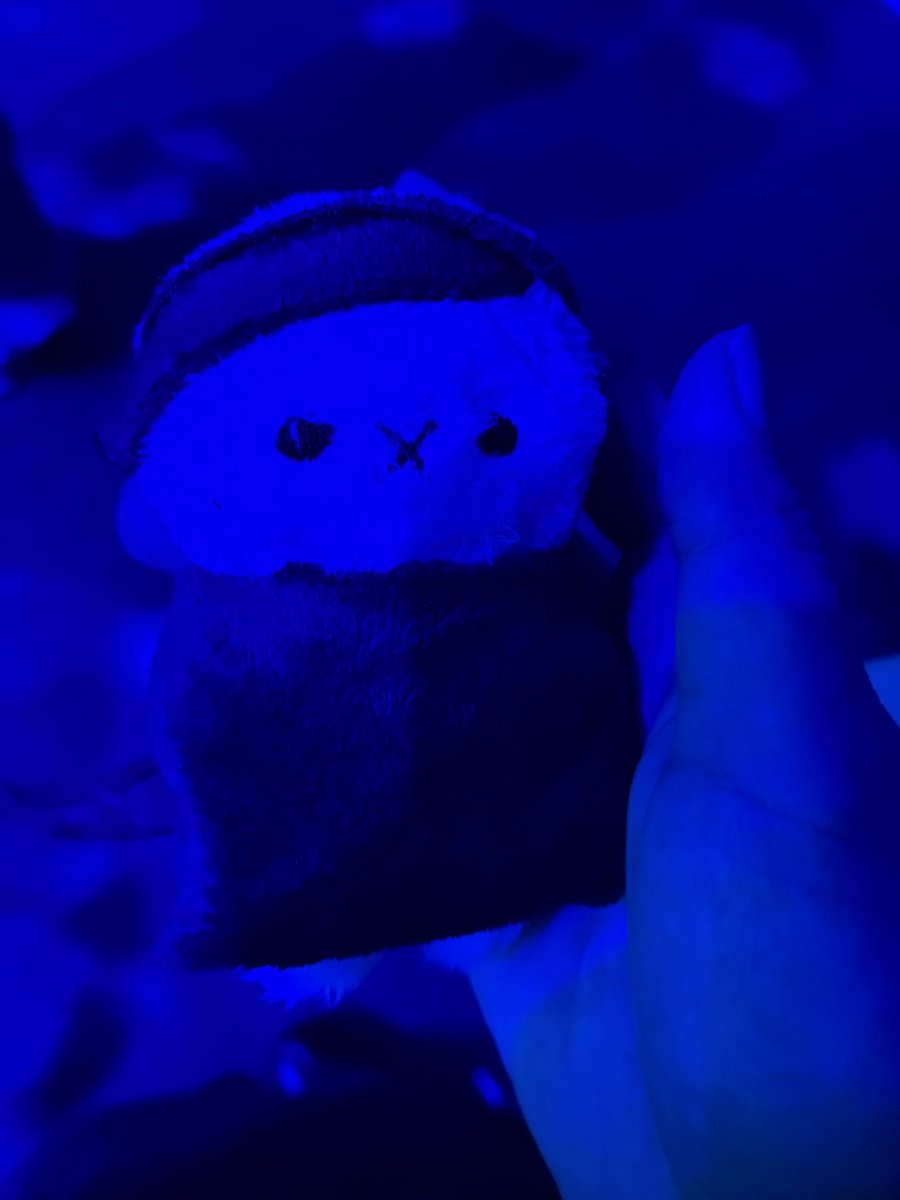 RekoooMo4's tweet photo. 頂き物たち激かわすぎる😭😭😭😭 https://t.co/5iGYyRqlx0