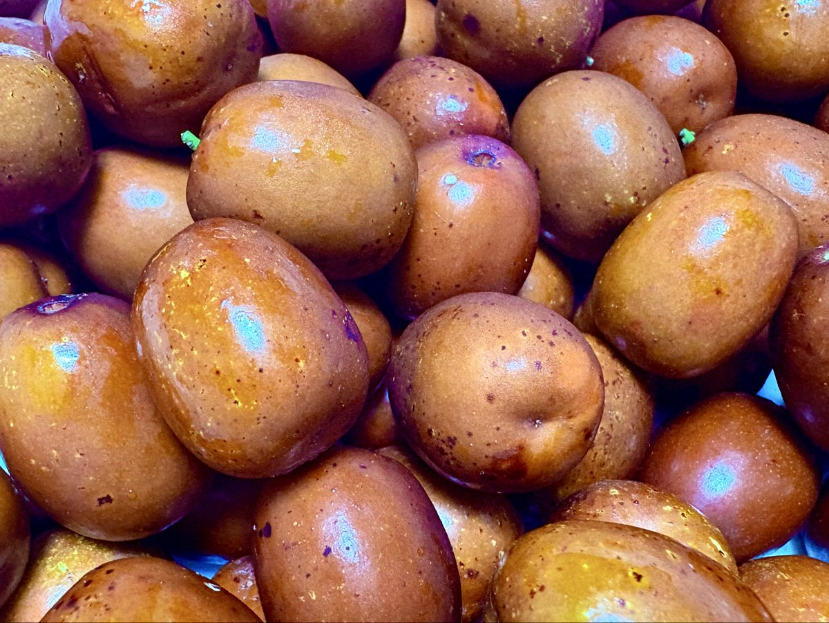 今年もナツメの季節が！
生のナツメは、ちょっとリンゴのような味と食感で、おいしくて大好き^^

富や成功、繁栄を引き寄せる、開運フードでもあります！

今年は、ナツメの木の写真も^^