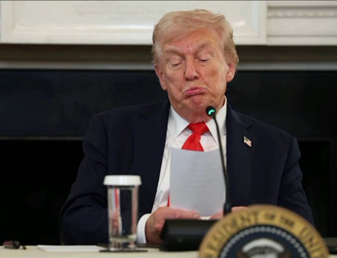 真相 where study 👀 ? linna rlly 33.3% tweet media