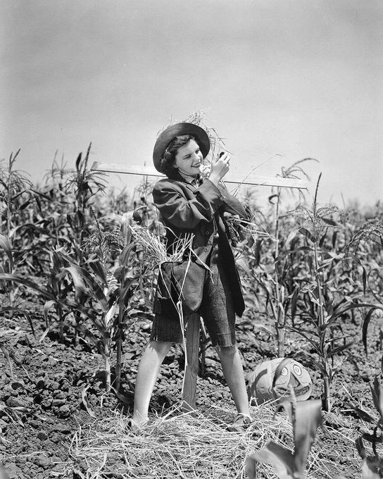 iShowTunes's tweet image. 🎃 Time to head to the ole #PumpkinPatch !!! 🎃
#JudyGarland #Halloween #Pumpkin #JackOLantern