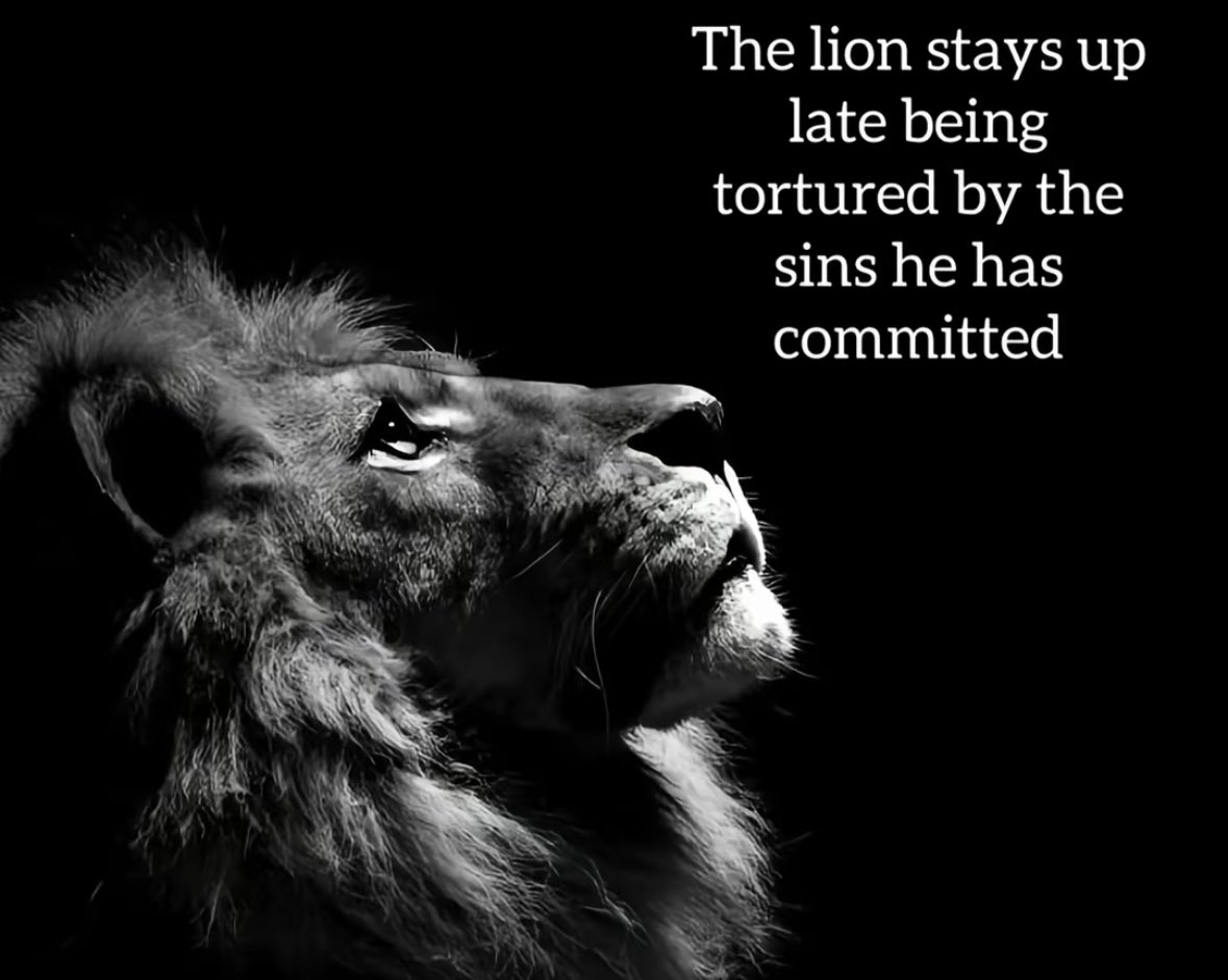 operating.eth tweet media