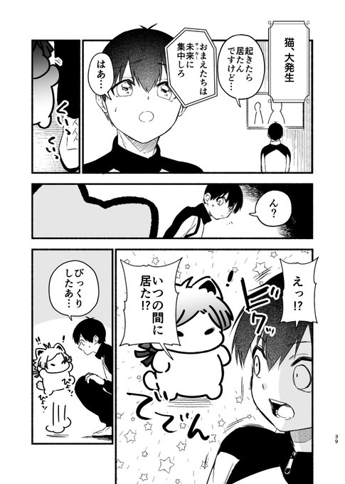 はくとん様❤️おまとめ専用ページです。12/19まで♡ かいざにゃんと41が初めて出会った時の話 | 𝕘𝕘𝕘（ぐぐぐ）🌲12/21