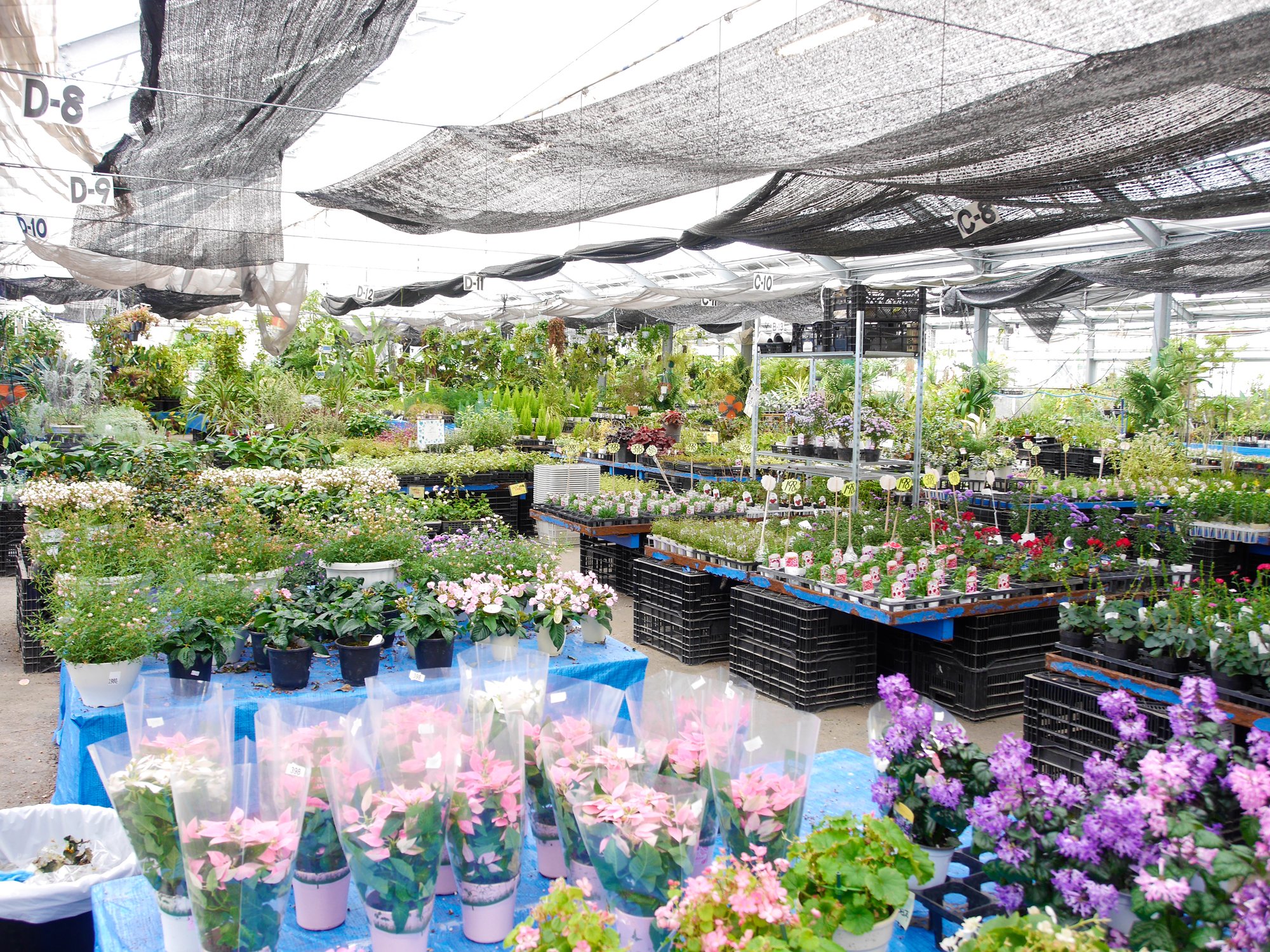 株)国華園【公式】 (@KOKKAEN_PR) / X