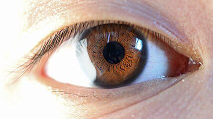 ImyRichard's tweet image. Pig eye vs human eye