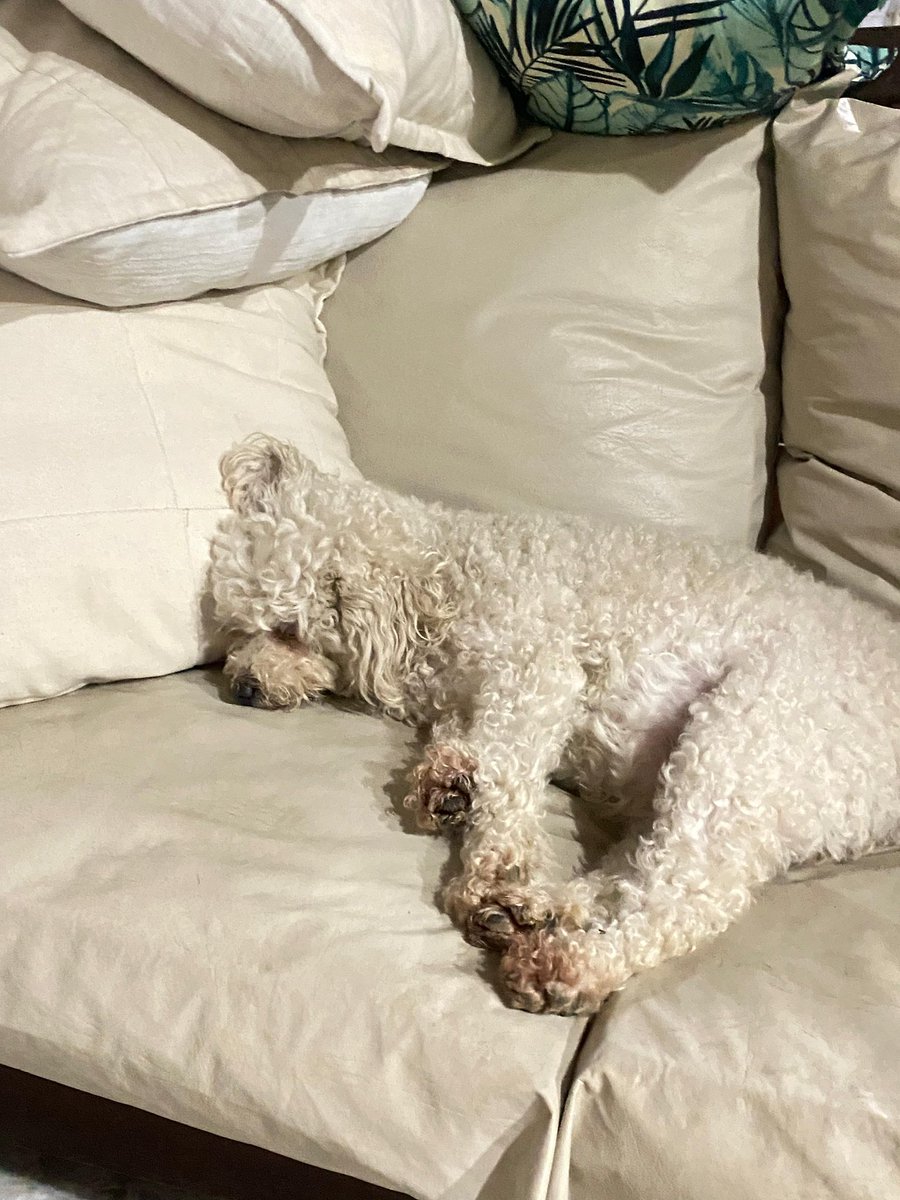 te amo hija no podes dormir asi de tierna 💓