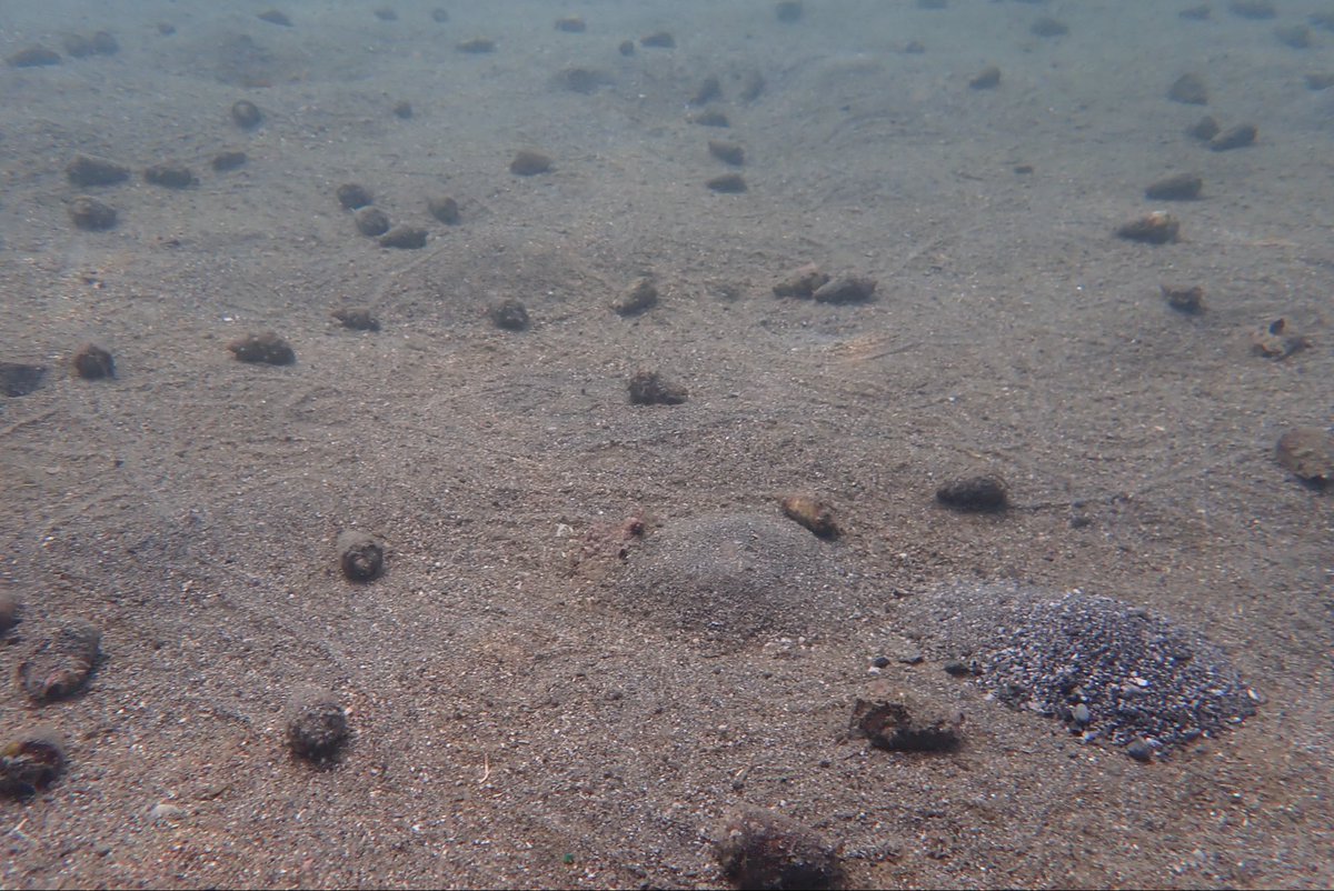 久々に潜ってきましたー