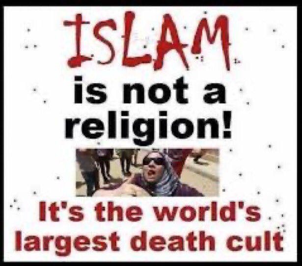 <a href="/TRobinsonNewEra/">Tommy Robinson 🇬🇧</a>