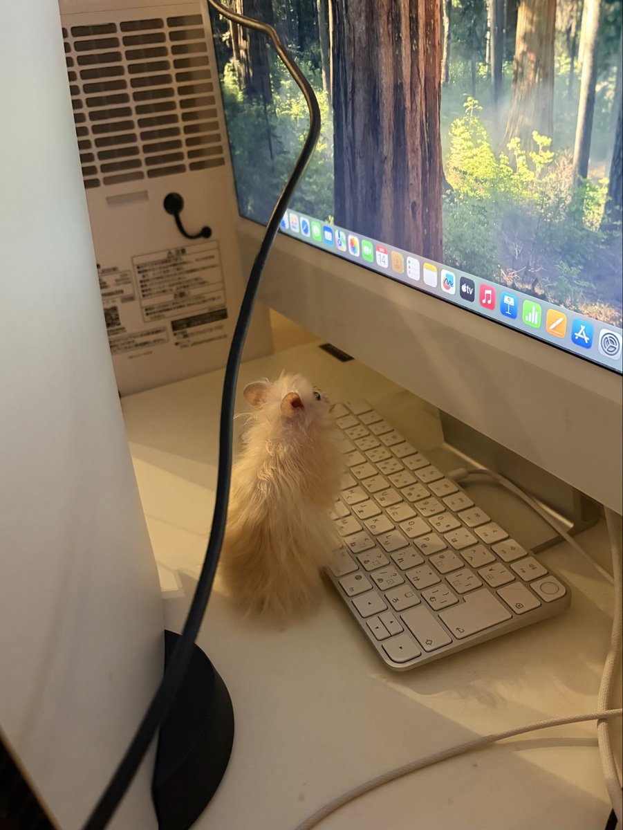𝐚𝐠𝐚𝐢𝐧______