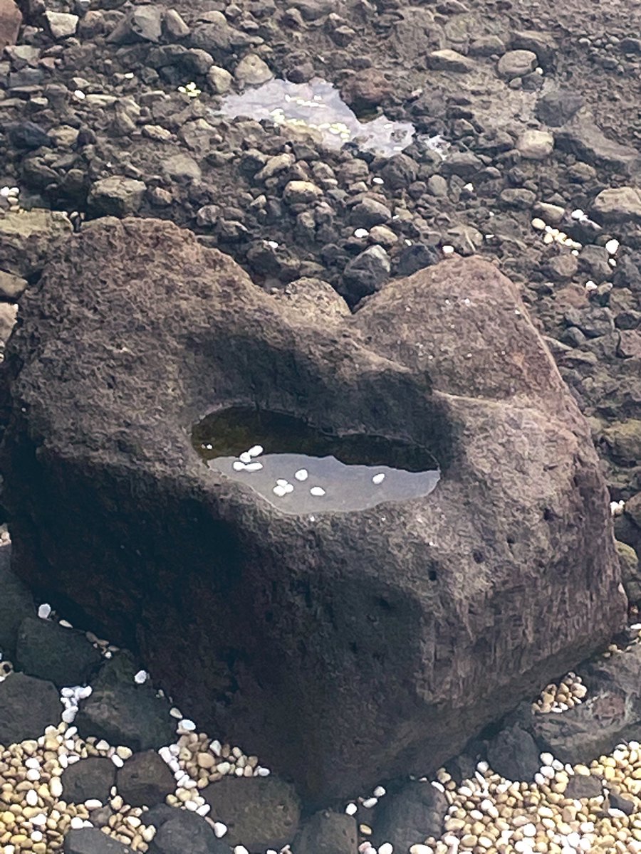 ハートの石発見❤️

めっちゃ上から撮ったけ
分かりにくいかな🤣